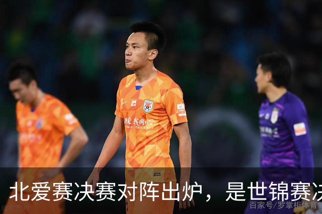 北爱赛决赛对阵出炉，是世锦赛决赛重演，预测冠亚军会颠倒过来