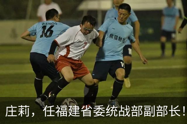 庄莉，任福建省委统战部副部长！柏长岭，任南京市委常委、市纪委书记！