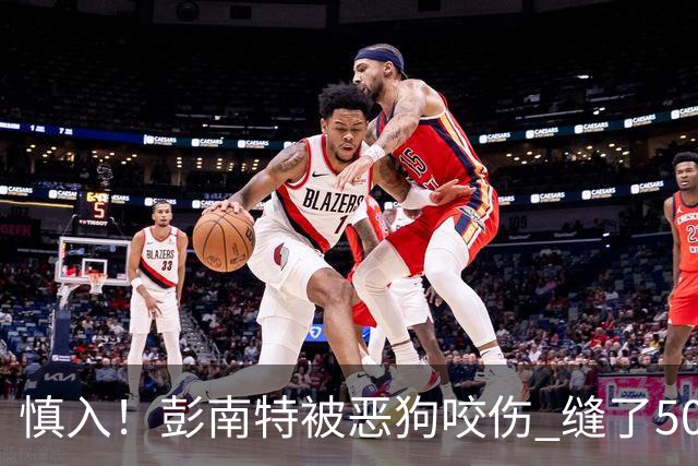 慎入！彭南特被恶狗咬伤 缝了50多针，所幸他的宠物犬英勇护主